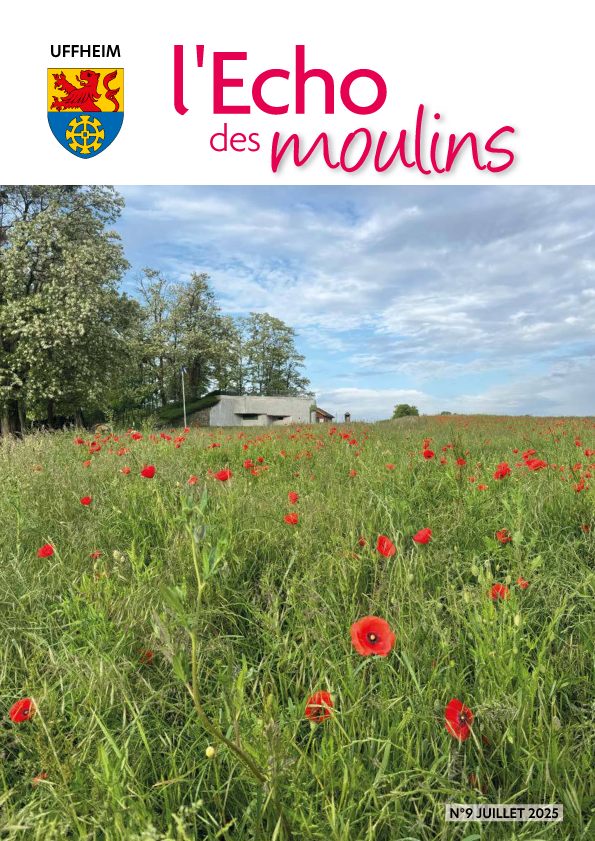 ebook